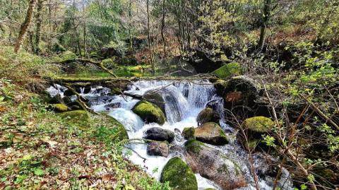 Moradia T2 para venda