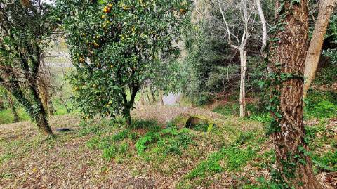 Moradia T2 para venda