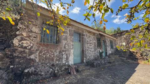 Moradia T1 para venda