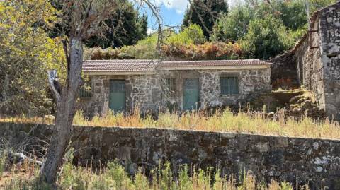 Moradia T1 para venda