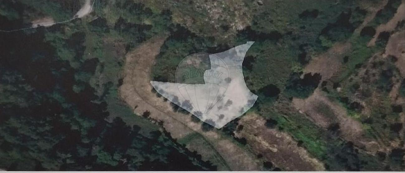 Terreno  para venda
