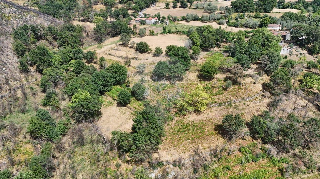 Terreno  para venda