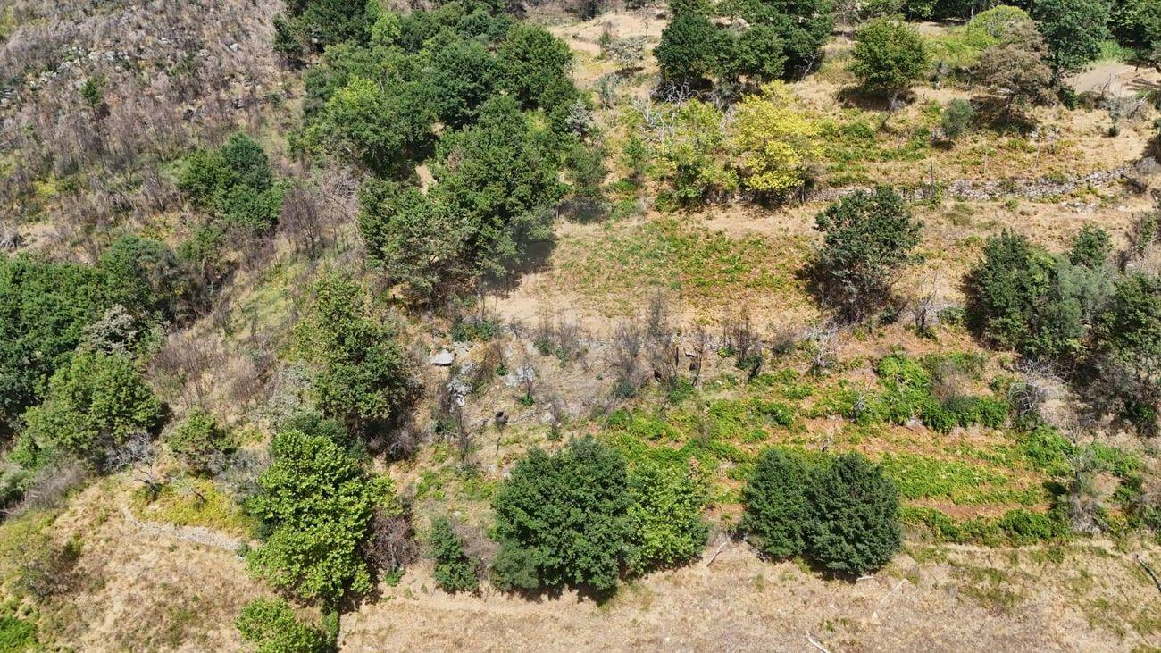 Terreno  para venda
