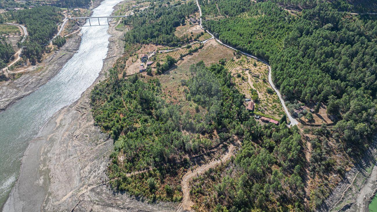 Terreno  para venda