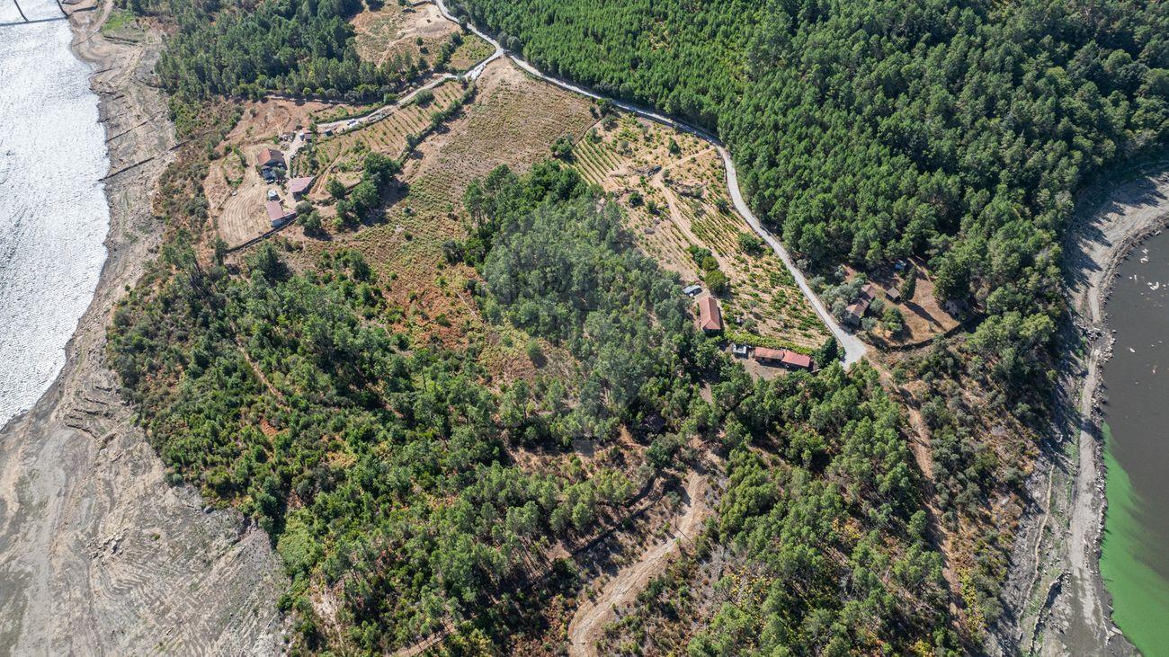 Terreno  para venda