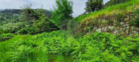 Moradia T3 para venda