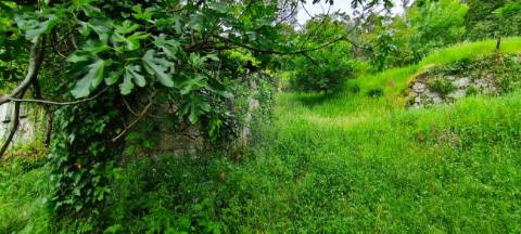 Moradia T3 para venda