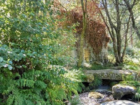 Quinta T2 para venda