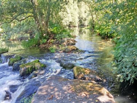 Quinta T2 para venda