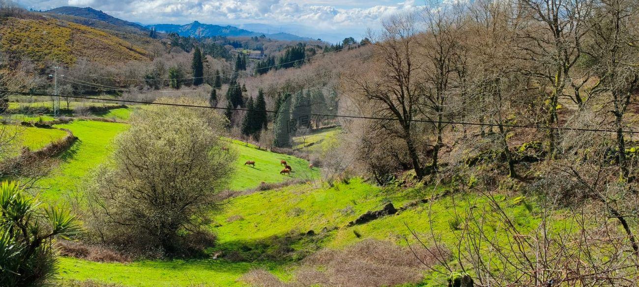 Terreno  para venda