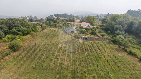 Moradia T3 para venda