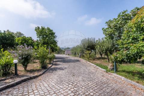 Moradia T3 para venda