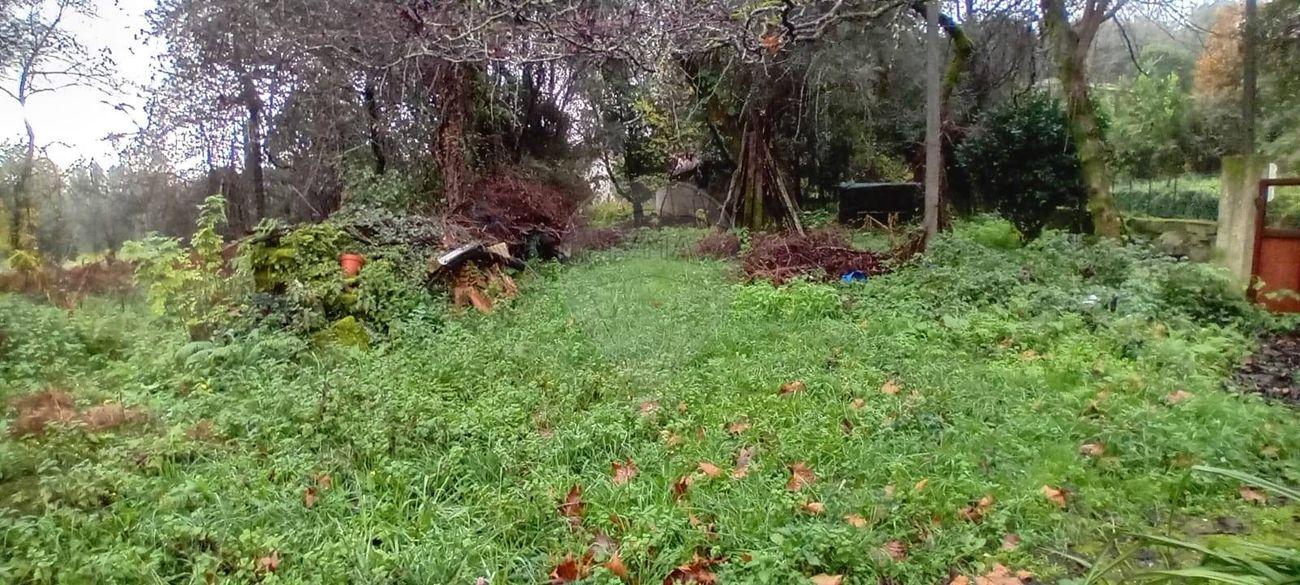 Terreno  para venda
