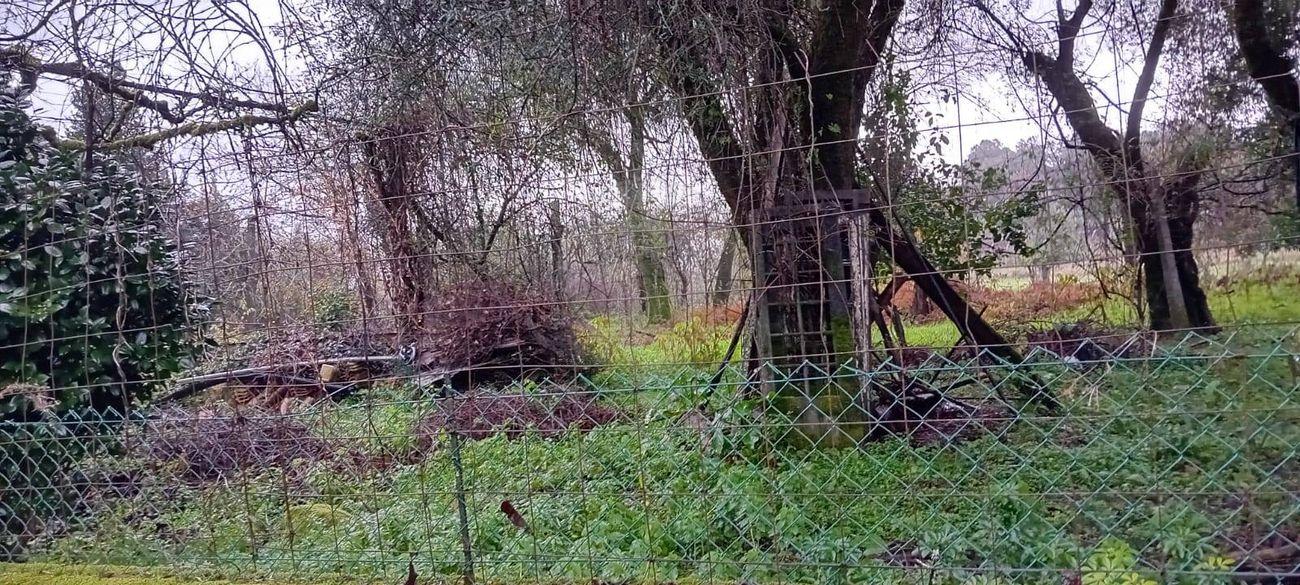 Terreno  para venda