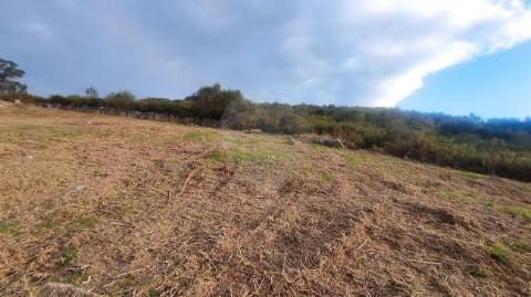 Terreno  para venda