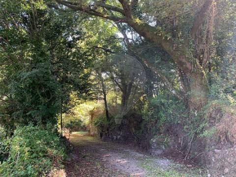 Moradia T1 para venda