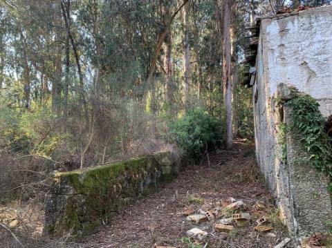 Moradia T3 para venda