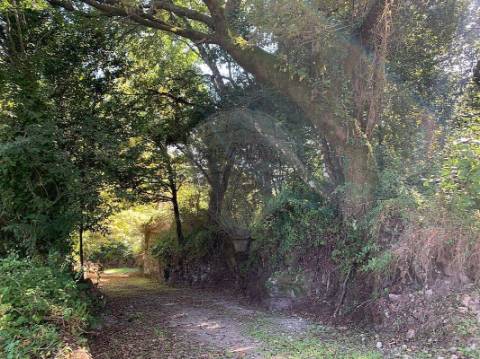 Moradia T3 para venda