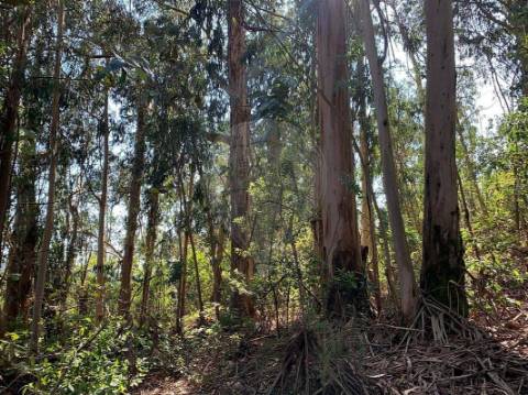 Moradia T3 para venda