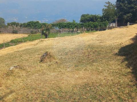 Terreno  para venda