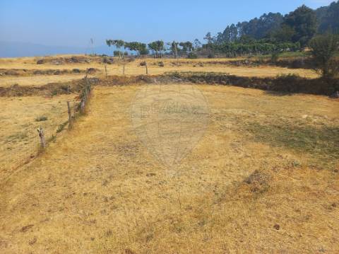 Terreno  para venda