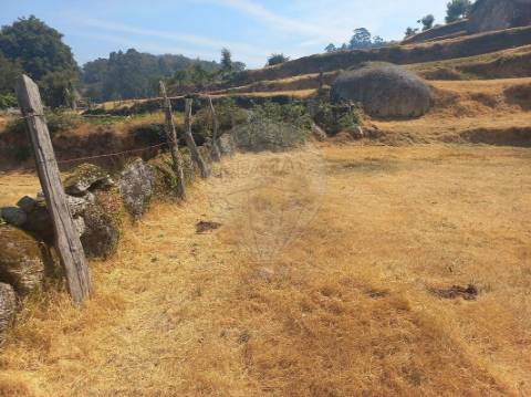 Terreno  para venda