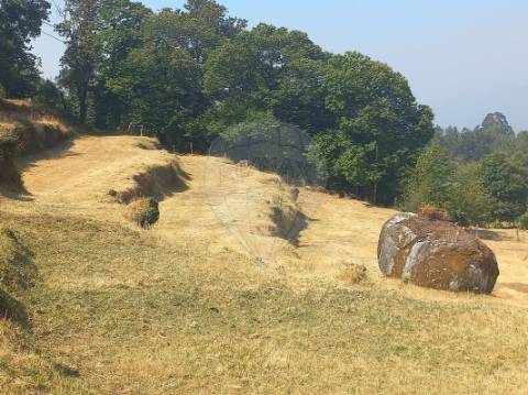 Terreno  para venda
