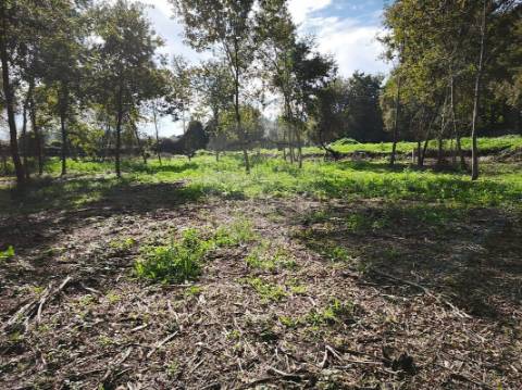 Quinta T0 para venda