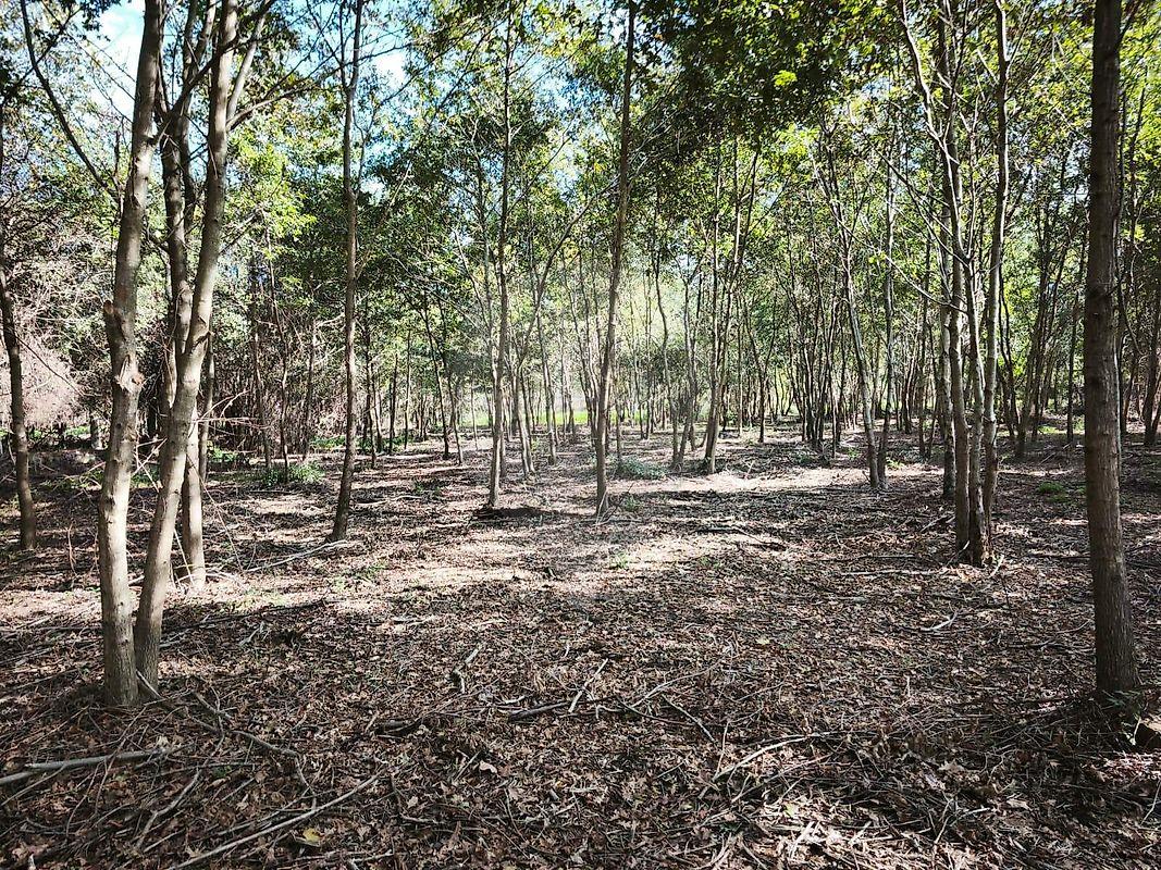 Quinta T0 para venda