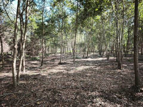 Quinta T0 para venda