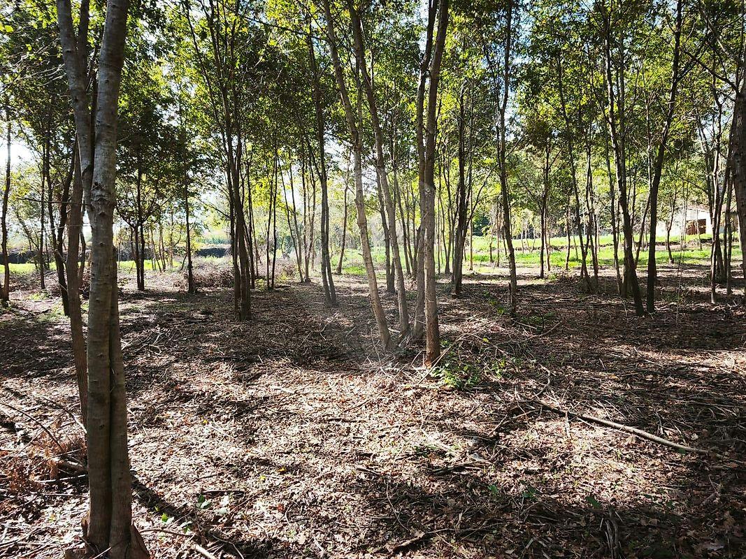 Quinta T0 para venda