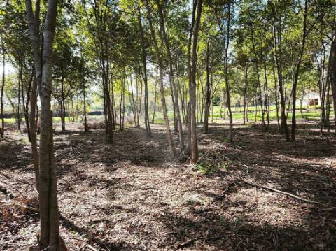 Quinta T0 para venda