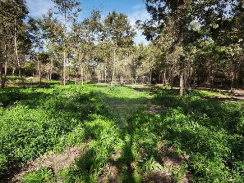 Quinta T0 para venda