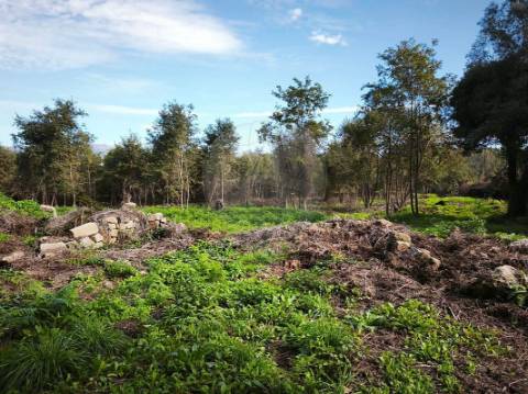 Quinta T0 para venda