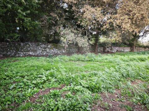 Quinta T0 para venda