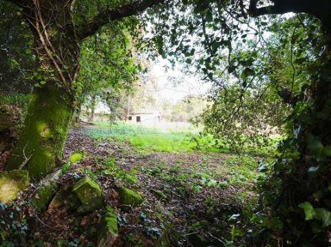 Quinta T0 para venda