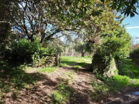 Quinta T0 para venda