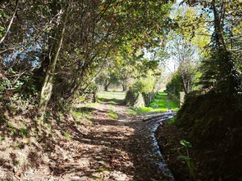 Quinta T0 para venda