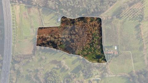 Quinta T0 para venda