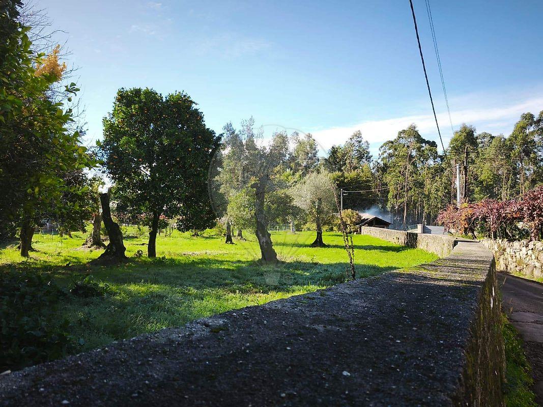 Moradia T0 para venda