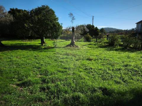 Moradia T0 para venda