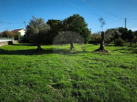 Moradia T0 para venda