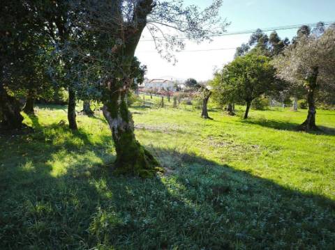 Moradia T0 para venda