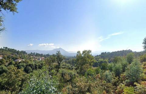 Moradia T0 para venda