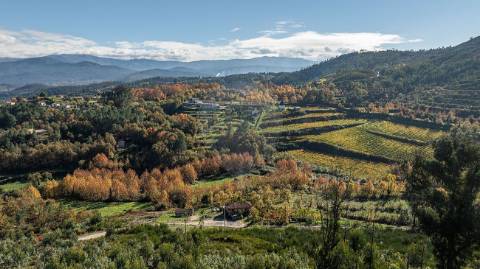 Moradia T0 para venda