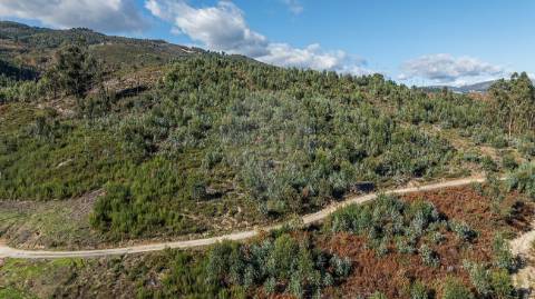 Moradia T0 para venda