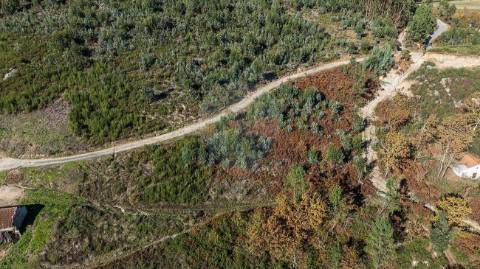 Moradia T0 para venda