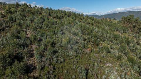 Moradia T0 para venda