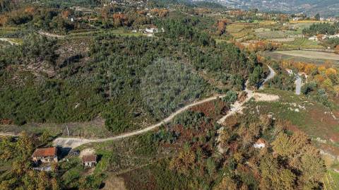 Moradia T0 para venda