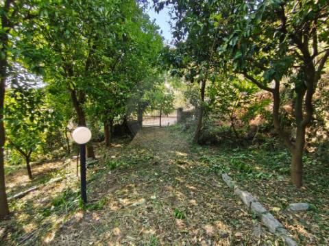 Moradia T3 para venda